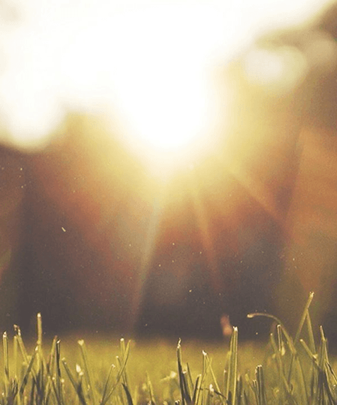 Health Home Background